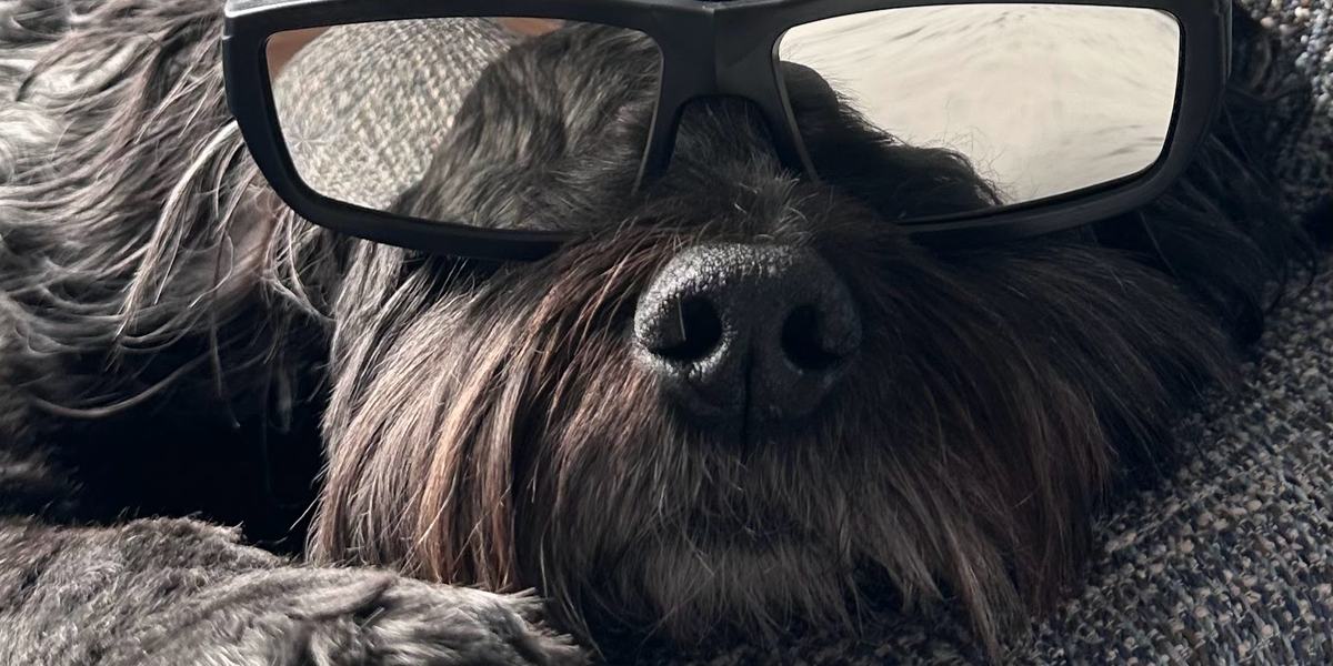 dog glasses jpg